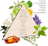 ZUMA Zagara di Sicilia Eau de Toilette spray